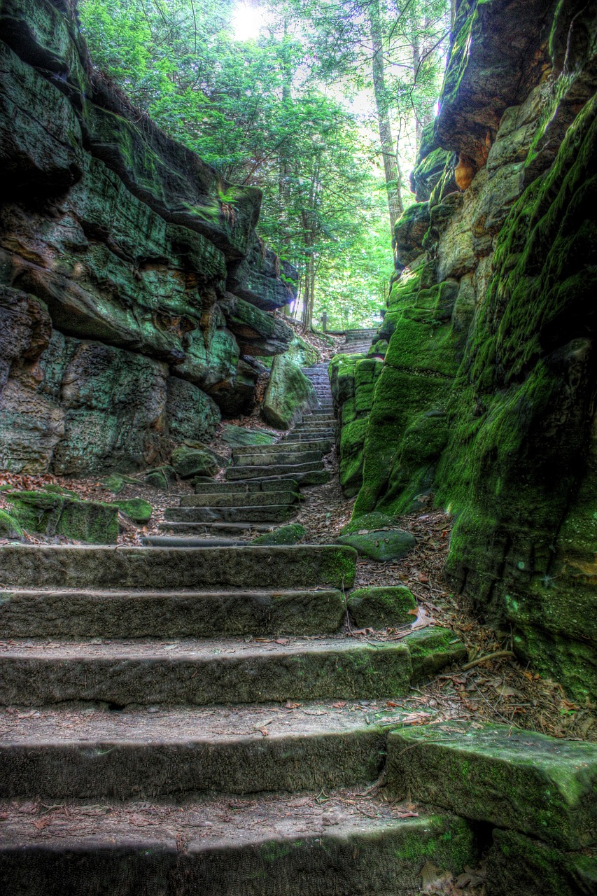 stairs, nature, stairway, natural, stone, landscape, path, outdoor, step, stairs, stairs, stairs, stairs, stairway, stairway, stairway, stairway, stairway, path, path, step, step, step, step
