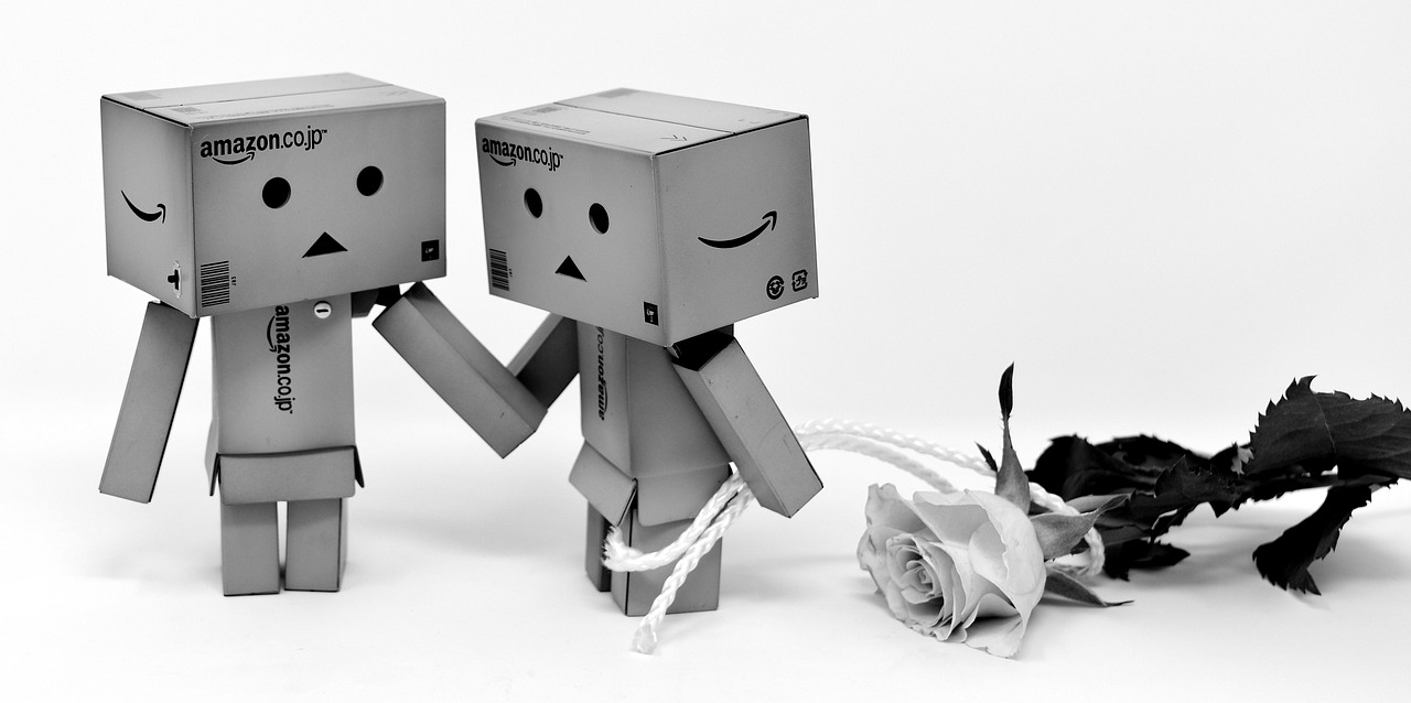 i beg your pardon, nature, love, excuse me, roses, black-and-white, flower, valentine's day, affection, congratulation, kneel down, marriage proposal, flower background, pardon, apologize, forgiveness, sorry, few, forgive, forgive me, fun, flower wallpaper, danbo, characters, beautiful flowers, cute
