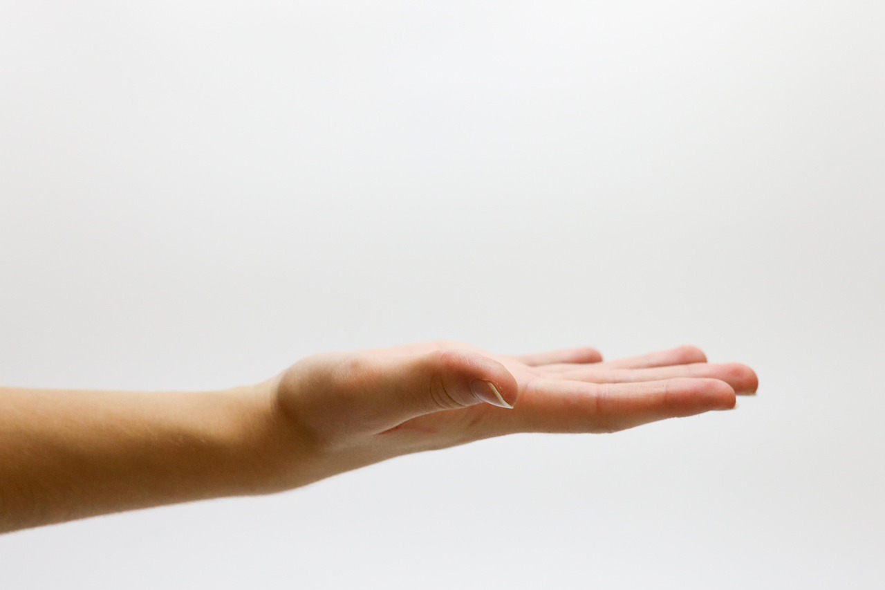 hand, asking, offering, white background, hand, hand, hand, hand, asking, asking, asking, asking, asking, offering, offering, offering